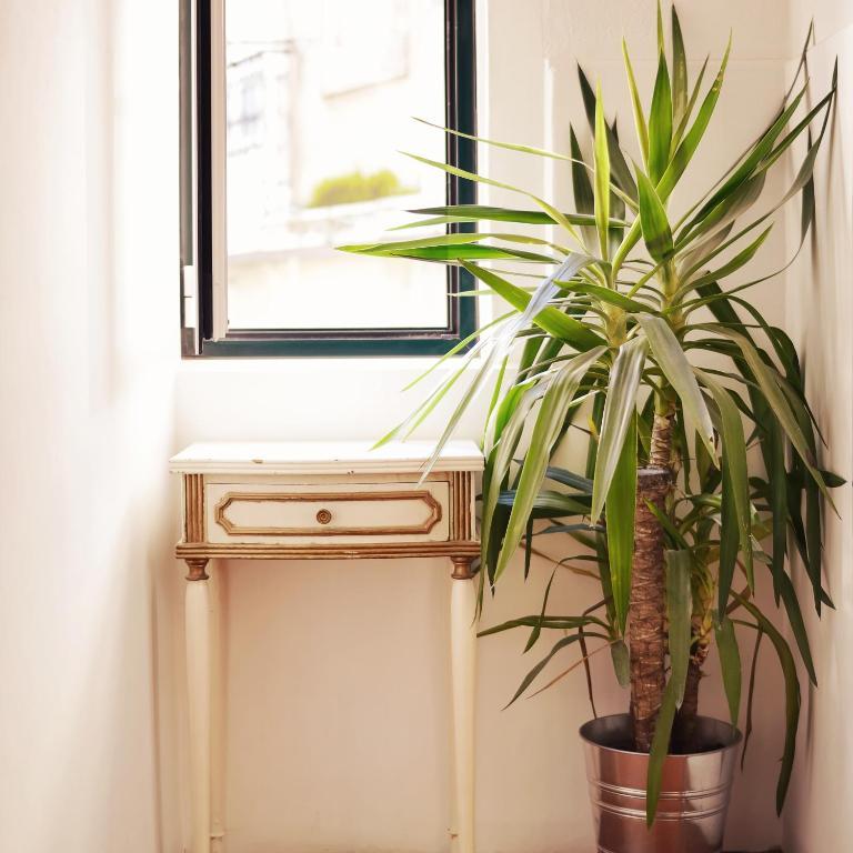 Lisbon Story Guesthouse Экстерьер фото